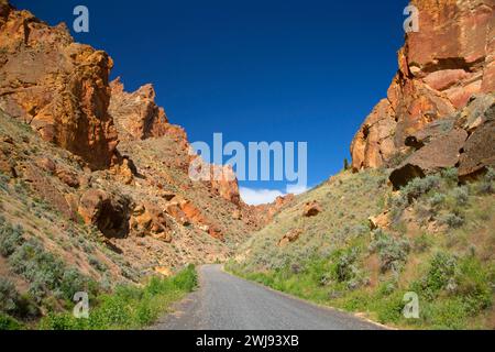 Leslie Gulch Road durch Ausbisse der Schlucht, Leslie Gulch Area of Critical Environmental Concerning, Vale District Bureau of Land Management, Oregon Stockfoto