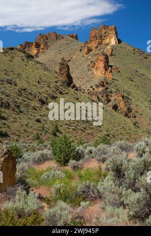 Canyon Aufschlüsse, Leslie Gulch Bereich der kritischen Umweltbewusstsein, Vale Bezirk Bureau of Land Management, Oregon Stockfoto