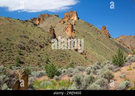 Canyon Aufschlüsse, Leslie Gulch Bereich der kritischen Umweltbewusstsein, Vale Bezirk Bureau of Land Management, Oregon Stockfoto