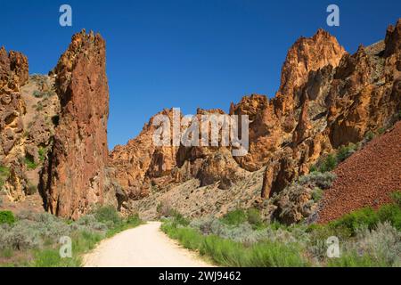 Leslie Gulch Road durch Ausbisse der Schlucht, Leslie Gulch Area of Critical Environmental Concerning, Vale District Bureau of Land Management, Oregon Stockfoto