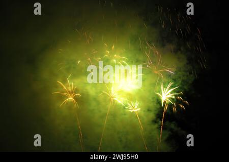 Grünes, nebliges Feuerwerk funkt am schwarzen Nachthimmel. Feierliche Veranstaltungen Stockfoto