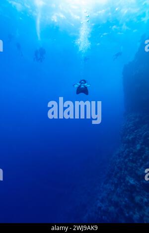 Taucher schwimmen und flossen durch klares, blaues Wasser entlang einer Korallenriffwand, während eine Gruppe von Tauchern einen Sicherheitsstopp über der Decke einlegt Stockfoto