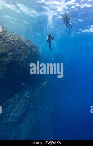 Eine Gruppe von Tauchern und Fotografen schwimmen im klaren blauen Wasser entlang einer riesigen Korallenriffwand Stockfoto