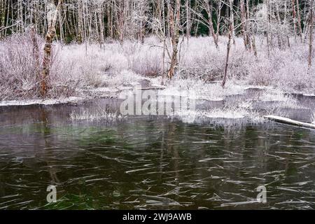 Landschaft eines gefrorenen Teichs, der einen starken Kontrast zu den schneebedeckten Bäumen und der Vegetation im Hintergrund bildet. Stockfoto