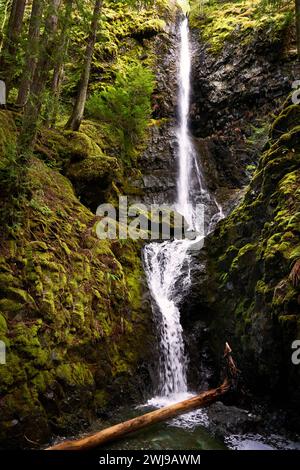 Blick auf einen hohen, majestätischen Wasserfall, während er eine Berglandschaft hinunterstürzt, inmitten von hellgrünem Laub. Stockfoto