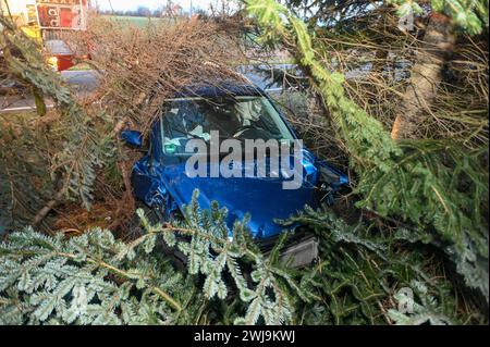 Laußig - Autofahrer brettert unter Alkohol mit Vollgas in Vorgarten und fallen mehrere Bäume: Rettungshubschrauber im Einsatz 12.02.2024 gegen 16,30 Uhr Laußig OT Pressel, Hauptstraße B183 zu einem schweren Unfall kam es am Montagnachmittag gegen 16,30 Uhr auf der B183 im Laußiger Ortsteil Pressel. Nach ersten Angaben der Polizei war der Fahrer eines VW T-Cross auf der Bundesstraße von Bad Düben kommend in den Ort Pressel eingefahren. Dabei kam er direkt am Ortsteingang in einer leichten Linkskurve von der Fahrbahn ab, donnerte durch einen Zaun auf ein angrenzendes Grundstück. Dort rammte und f Stockfoto