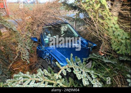 Laußig - Autofahrer brettert unter Alkohol mit Vollgas in Vorgarten und fallen mehrere Bäume: Rettungshubschrauber im Einsatz 12.02.2024 gegen 16,30 Uhr Laußig OT Pressel, Hauptstraße B183 zu einem schweren Unfall kam es am Montagnachmittag gegen 16,30 Uhr auf der B183 im Laußiger Ortsteil Pressel. Nach ersten Angaben der Polizei war der Fahrer eines VW T-Cross auf der Bundesstraße von Bad Düben kommend in den Ort Pressel eingefahren. Dabei kam er direkt am Ortsteingang in einer leichten Linkskurve von der Fahrbahn ab, donnerte durch einen Zaun auf ein angrenzendes Grundstück. Dort rammte und f Stockfoto