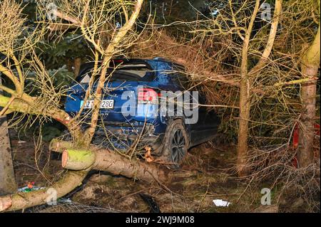 Laußig - Autofahrer brettert unter Alkohol mit Vollgas in Vorgarten und fallen mehrere Bäume: Rettungshubschrauber im Einsatz 12.02.2024 gegen 16,30 Uhr Laußig OT Pressel, Hauptstraße B183 zu einem schweren Unfall kam es am Montagnachmittag gegen 16,30 Uhr auf der B183 im Laußiger Ortsteil Pressel. Nach ersten Angaben der Polizei war der Fahrer eines VW T-Cross auf der Bundesstraße von Bad Düben kommend in den Ort Pressel eingefahren. Dabei kam er direkt am Ortsteingang in einer leichten Linkskurve von der Fahrbahn ab, donnerte durch einen Zaun auf ein angrenzendes Grundstück. Dort rammte und f Stockfoto