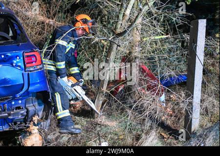 Laußig - Autofahrer brettert unter Alkohol mit Vollgas in Vorgarten und fallen mehrere Bäume: Rettungshubschrauber im Einsatz 12.02.2024 gegen 16,30 Uhr Laußig OT Pressel, Hauptstraße B183 zu einem schweren Unfall kam es am Montagnachmittag gegen 16,30 Uhr auf der B183 im Laußiger Ortsteil Pressel. Nach ersten Angaben der Polizei war der Fahrer eines VW T-Cross auf der Bundesstraße von Bad Düben kommend in den Ort Pressel eingefahren. Dabei kam er direkt am Ortsteingang in einer leichten Linkskurve von der Fahrbahn ab, donnerte durch einen Zaun auf ein angrenzendes Grundstück. Dort rammte und f Stockfoto