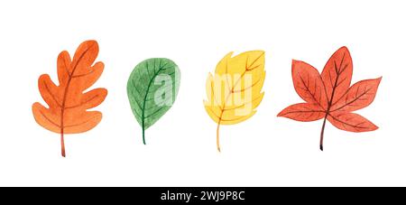 Aquarellblätter festgelegt. Handgezeichnete Herbstillustration, isoliert auf weißem Hintergrund Stockfoto