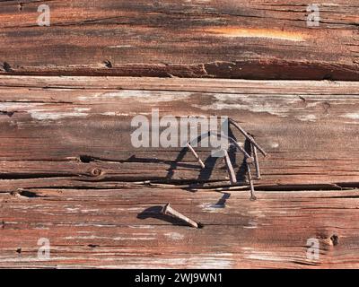 Verbogene, rostige Nägel stecken draußen in einer alten Holzwand Stockfoto