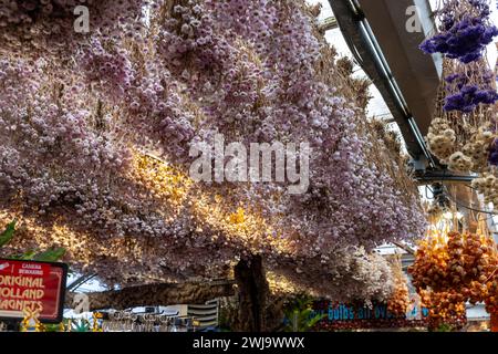 Amsterdam, Niederlande - 21. April 2023: Der traditionelle Blumenmarkt in Amsterdam, Holland, Niederlande Stockfoto