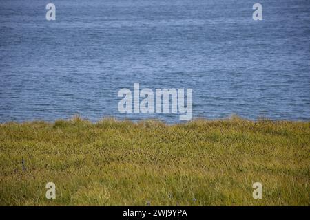 Blick auf den Sheosar Bank Lake im Deosai Nationalpark Stockfoto