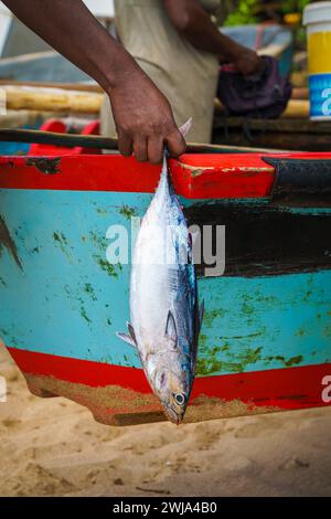 Ein Fischer in Praia Emilia in Sao Tome und Principe zeigt einen frisch gefangenen Fisch neben einem farbenfrohen Boot am Sandstrand Stockfoto