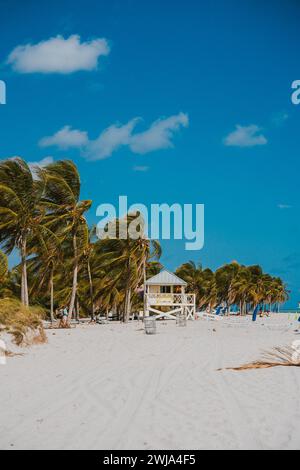 Eine malerische Szene in Miami Beach mit einem Rettungsschwimmturm inmitten von Palmen vor einem leuchtend blauen Himmel. Stockfoto