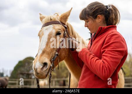 Eine junge Reiterin, die die Zügel und das Zaumzeug auf ihrem braunen Pferd in einem Reitzentrum legt Stockfoto