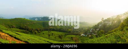 Munnar, Kerala, Panorama Landscape Fotografie von Teefarm und wunderbaren Naturlandschaften Stockfoto