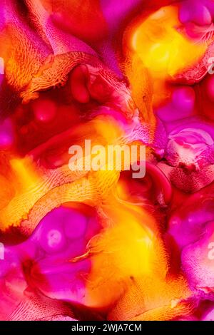 Ein abstraktes, fließendes Gemälde mit einer dynamischen Mischung aus lebhaften Rot-, Orangen- und Violett-Tönen, das ein visuell überzeugendes Bild mit dem Zusammenspiel von W schafft Stockfoto