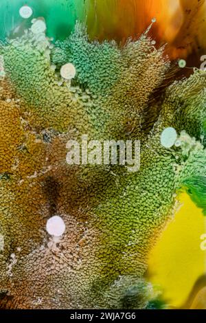 Dieses Bild zeigt eine abstrakte, lebendige Textur, die aus einer Farbe und chemischen Reaktion resultiert, mit einem reichhaltigen Farbteppich und Mustern Stockfoto