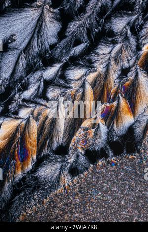 Makrofotografie, die die komplizierten Muster und leuchtenden Farben der Schmetterlingsflügel enthüllt und die natürliche Schönheit dieser zarten Insekten zeigt Stockfoto