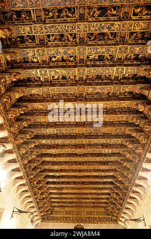 Valencia, La Lonja dela Seda o de los Mercaderes (gotisches 15. Jahrhundert). Welterbe, Verkleidung der Goldenen Kamera. Comunidad Valenciana, Spanien. Stockfoto