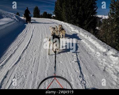 Schlittenhund mit Huskyhunden im Schnee Berge weißer Hintergrund in den dolomiten auf sonnigem Tagesblick vom Schlitten mit Hunden laufen. Stockfoto