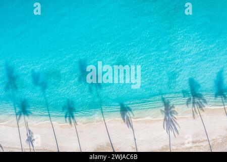 Palmen Schatten auf dem Sandstrand und türkisfarbenes Meer von oben. Herrliche Natur im Sommer. Atemberaubende sonnige Strandlandschaft, entspannend friedlich Stockfoto