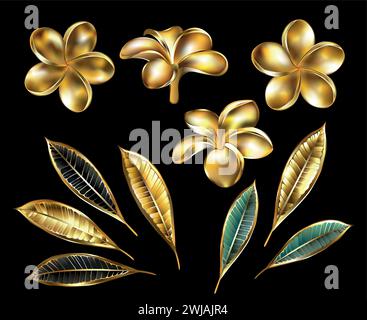 Set aus Schmuck, glänzenden, kostbaren, goldenen Blumen und Plumerieblättern auf schwarzem Hintergrund. Plumeria mit Goldblumen. Stock Vektor