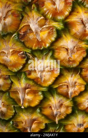 Ananasschale als Hintergrund. Nahaufnahme der Ananasschalen-Textur. Hintergrundmuster Ananas. Stockfoto