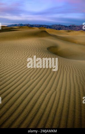 Ein Sonnenaufgang über Sanddünen mit violettem Himmel und Bergen im Hintergrund. Stockfoto