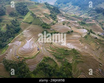 Aus der Vogelperspektive sehen Sie zahlreiche Reisterrassen im Bezirk Mu Cang Chai, Vietnam Stockfoto