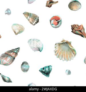 Muschelmuster auf isoliertem Hintergrund. Handgezeichnetes nahtloses Schmuckstück mit Meeresmuscheln zum Einpacken von Papier oder Textilien im nautischen Stil Stockfoto