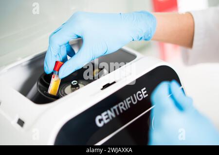 Der Arzt legt die Blutproben in die Zentrifuge ein Stockfoto