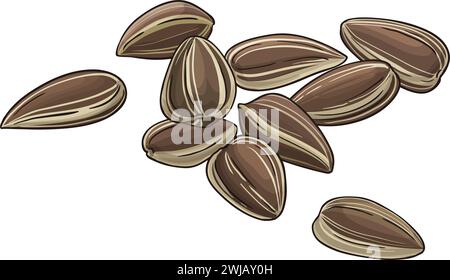 Sonnenblumenkerne Farbige Detaillierte Abbildung Stock Vektor