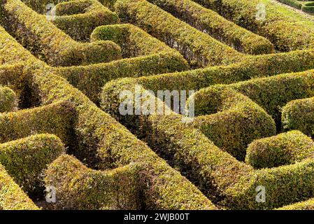 Labyrinth in einem botanischen Garten in Polen Stockfoto