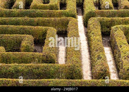 Labyrinth in einem botanischen Garten in Polen Stockfoto