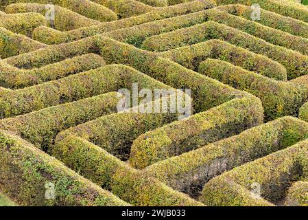Labyrinth in einem botanischen Garten in Polen Stockfoto