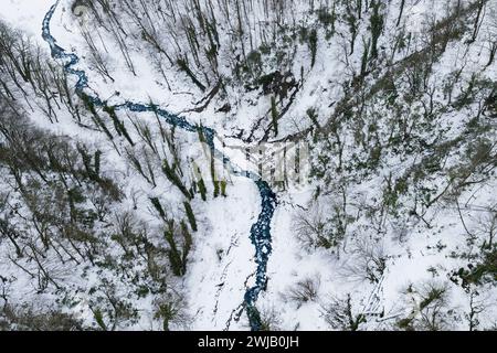 Bergwald in der Schlucht im Winter. Kaukasus. Stockfoto