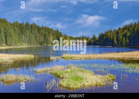 Großer Arbersee, bayerischer Wald, Bayern, Deutschland Stockfoto