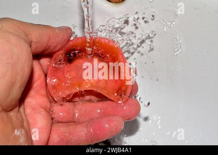 Nahaufnahme eines abnehmbaren Oberkiefers, der unter fließendem Wasser gewaschen wird. Stockfoto