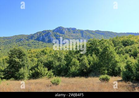 Der Nationalpark Galicica in Nordmakedonien bei Elshani Stockfoto