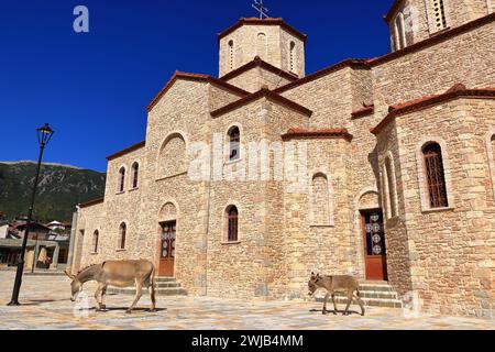 St. Michael der Erzengel Orthodoxe Kirche, Pustec, Prespa Nationalpark in Albanien Stockfoto