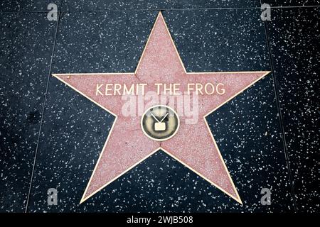 Kermit the Frog's Star am Hollywood Walk of Fame, Kalifornien, USA Stockfoto