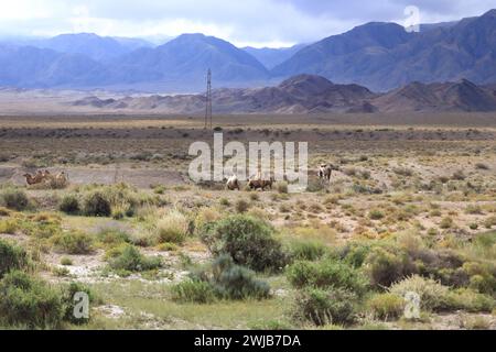 Landschaftsansicht in der Region des Issyk-Kul-Sees in der Nähe des Orto-Tokoy-Stausees in Kirgisistan Stockfoto