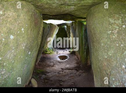 Das Innere des Mougau Bihan ist ein späteres neolithisches Passagegrab, Allee Courverte, 3.000 v. Chr., in der Nähe des Dorfes Commana, Finistere, Bretagne Bretagne, Frankreich Stockfoto