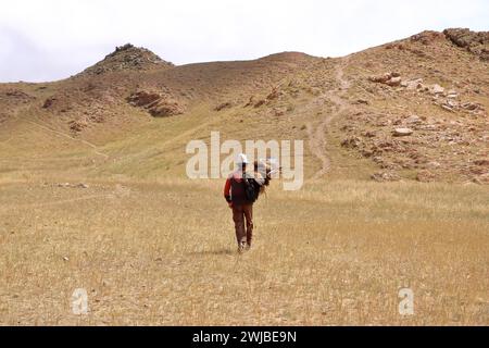 27. August 2023: Bokonbayevo, Provinz Issyk Kul in Kirgisistan: Kirgisische Adlerjäger demonstrieren eine Adlerjagd Stockfoto