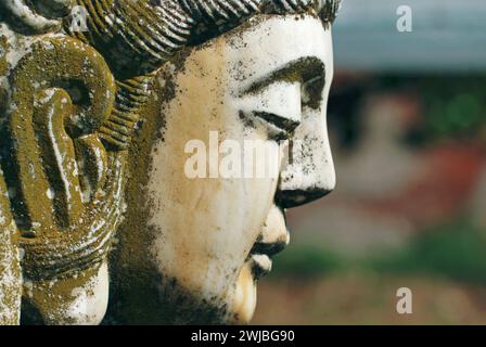 Buddha-Kopf im Moos bedeckt Stockfoto