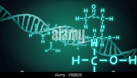 Bild des dna-Strangs und der wissenschaftlichen Datenverarbeitung auf schwarzem Hintergrund Stockfoto