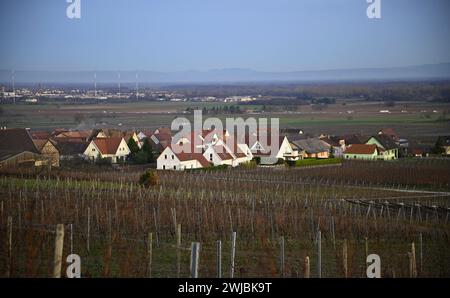Landschaft mit malerischem Blick auf Orschwiller, ein malerisches Dorf umgeben von Weinbergen im Elsass, Frankreich. Stockfoto