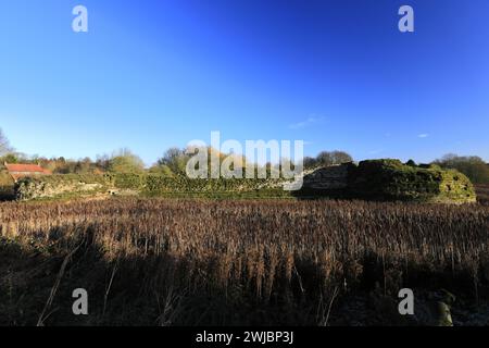 Herbstblick über Bolingbroke Castle, eine ruinöse sechseckige Burg im Dorf Bolingbroke, Lincolnshire, England, Großbritannien Stockfoto